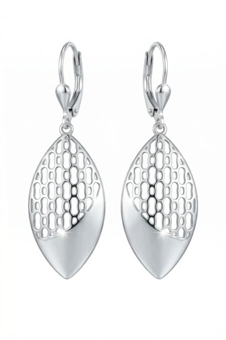 Elegante silberne Ohrringe
